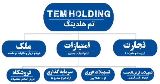 آشنایی با تِم هلدینگ